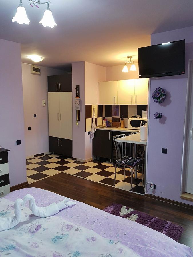 Garsoniera Cristina Daire Băile Felix Dış mekan fotoğraf