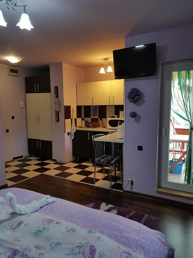 Garsoniera Cristina Daire Băile Felix Dış mekan fotoğraf