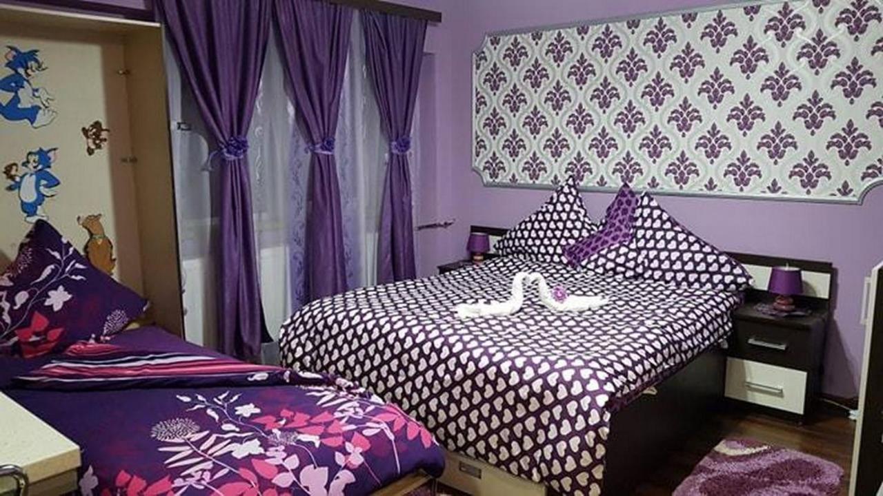 Garsoniera Cristina Daire Băile Felix Dış mekan fotoğraf