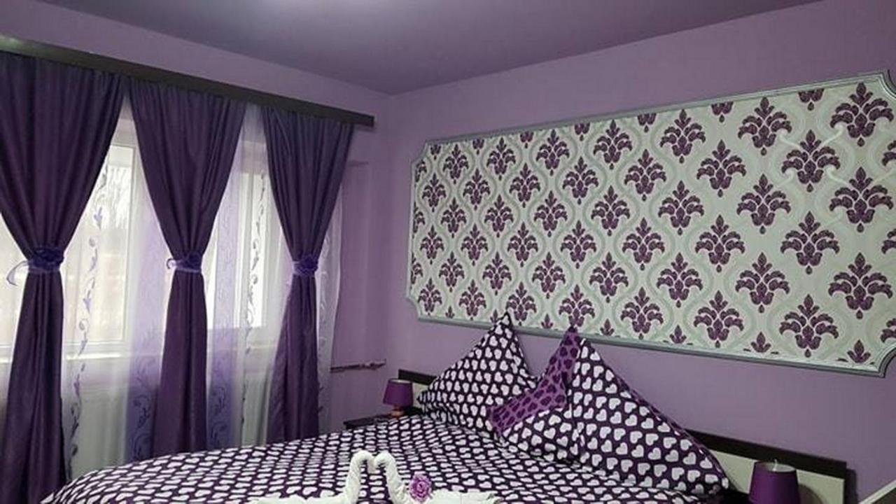 Garsoniera Cristina Daire Băile Felix Dış mekan fotoğraf